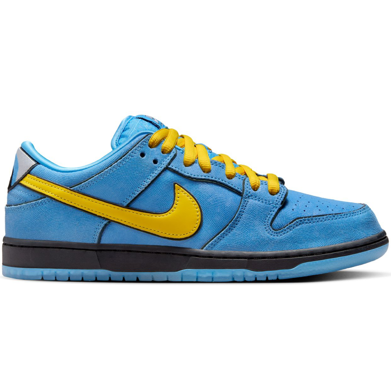 nike dunk color skate