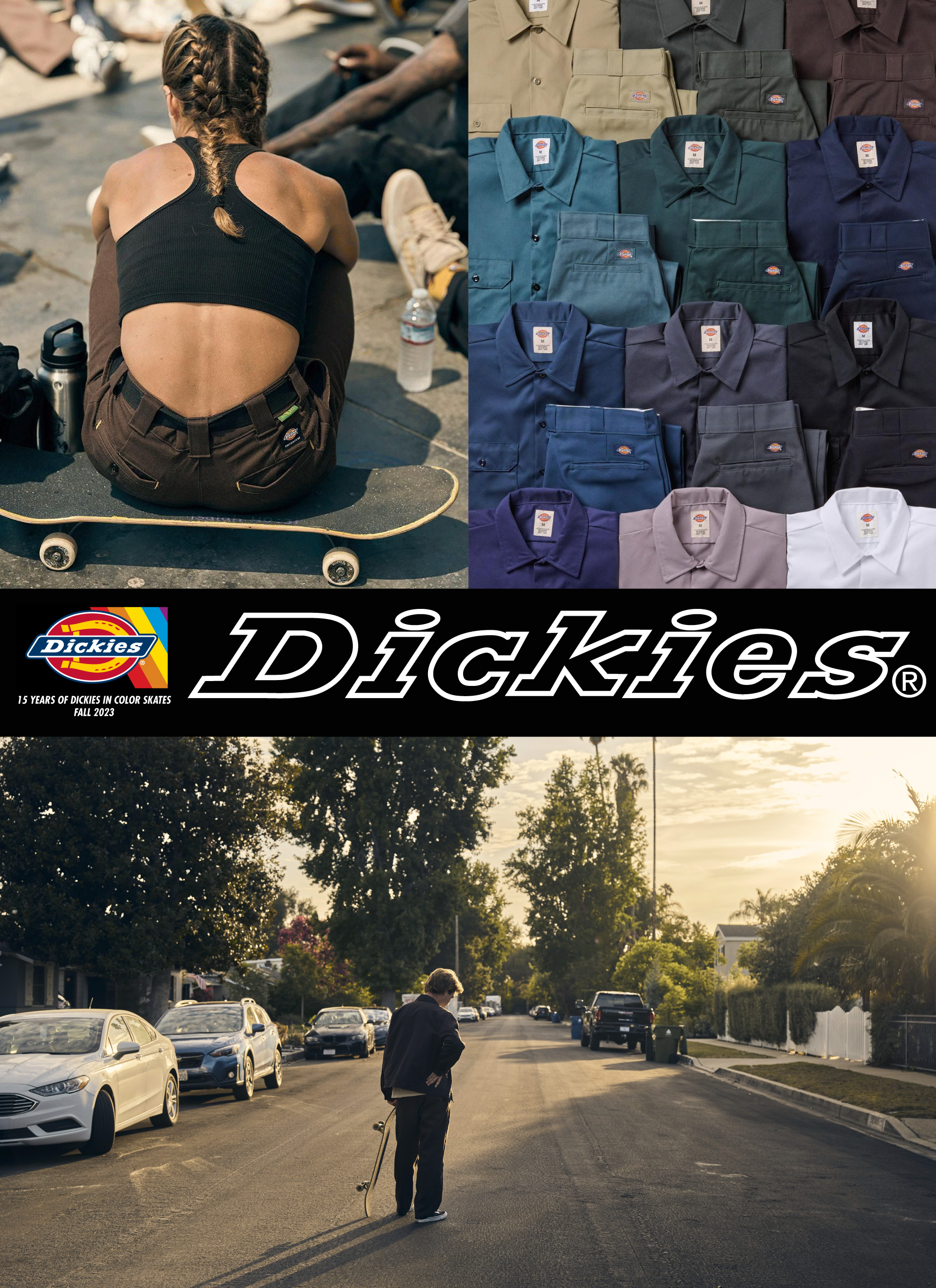 DICKIES FALL 23 IN COLOR SKATES