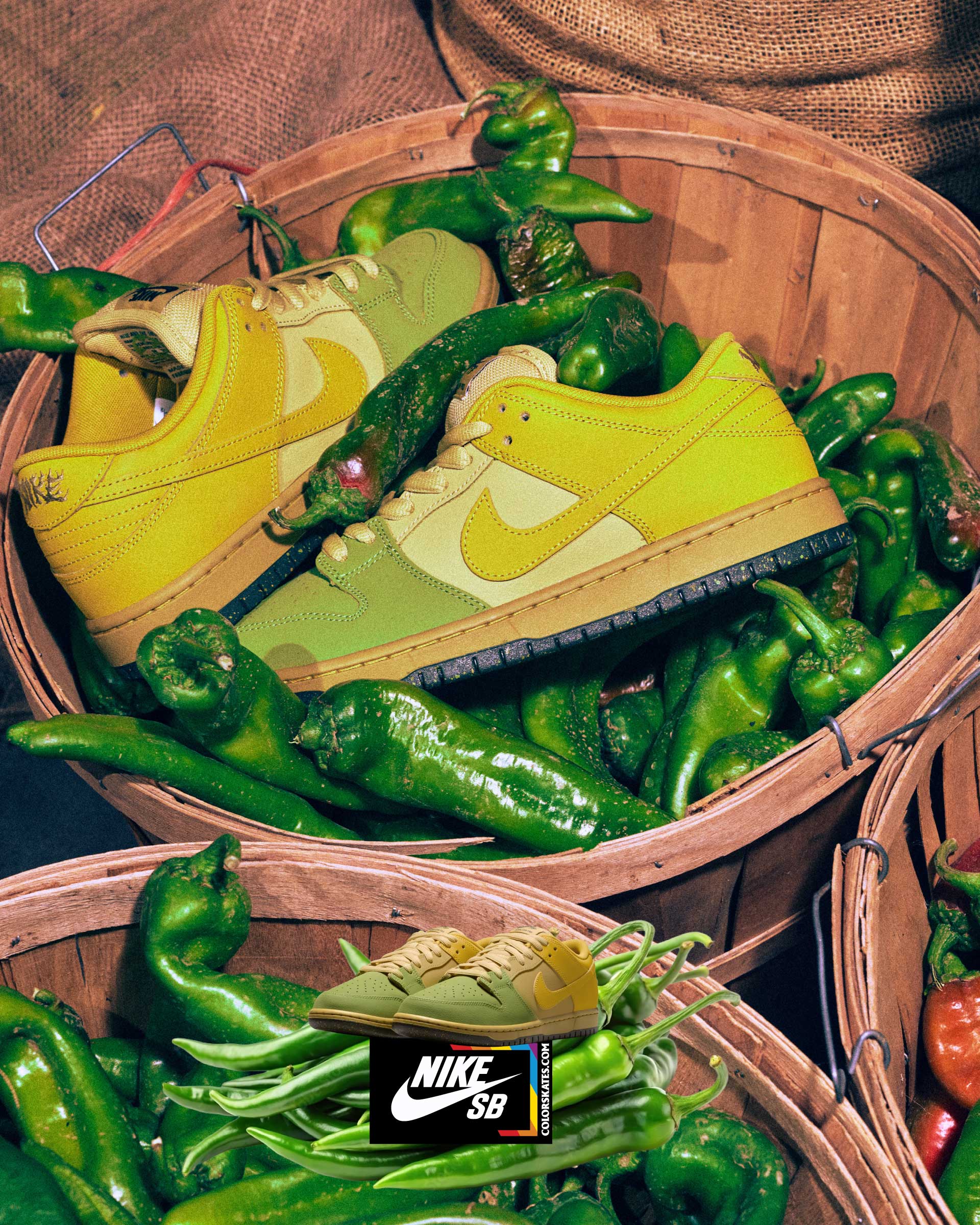 NIKE SB DUNKS COLLECTION