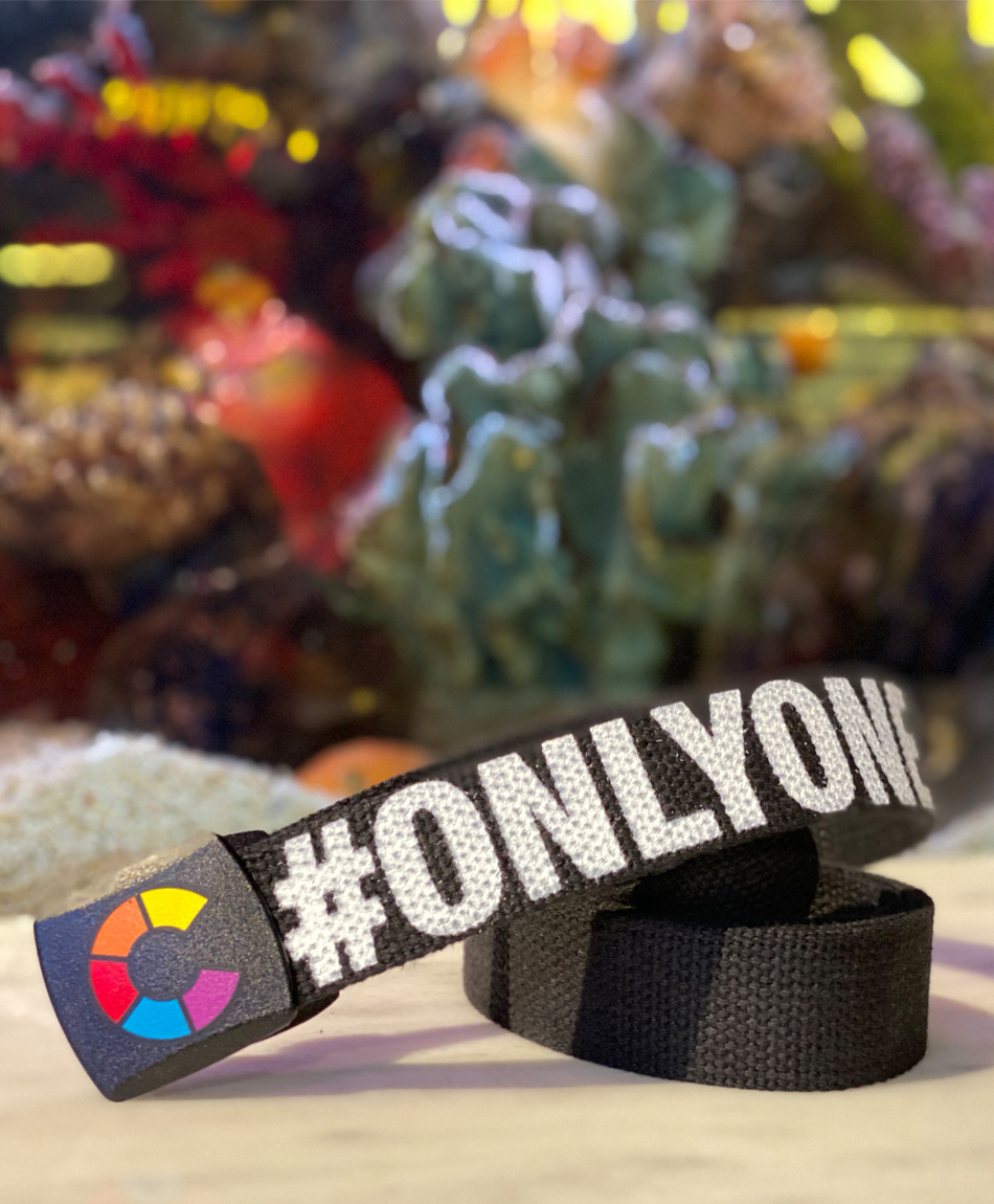 COLOR ONLYONELIFE WEB BELT BLACK