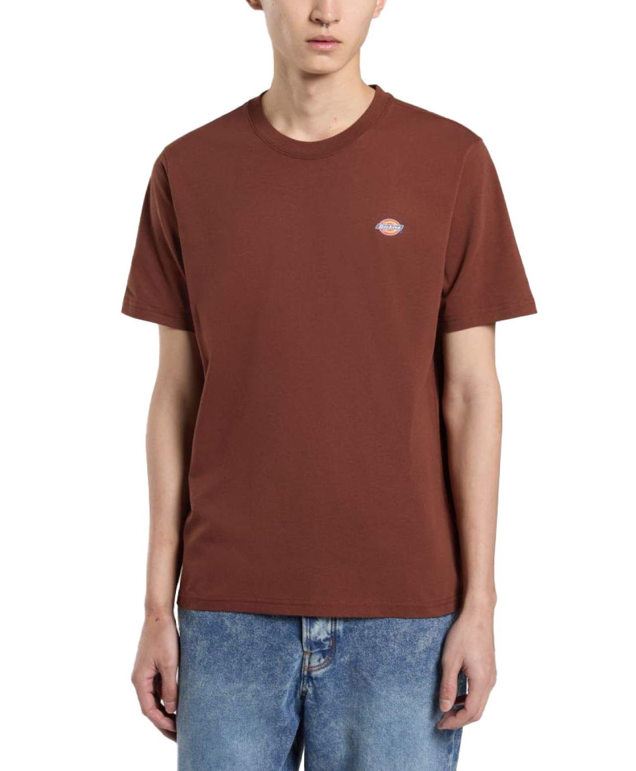 DICKIES MAPLETON TEE CAPPUCCINO