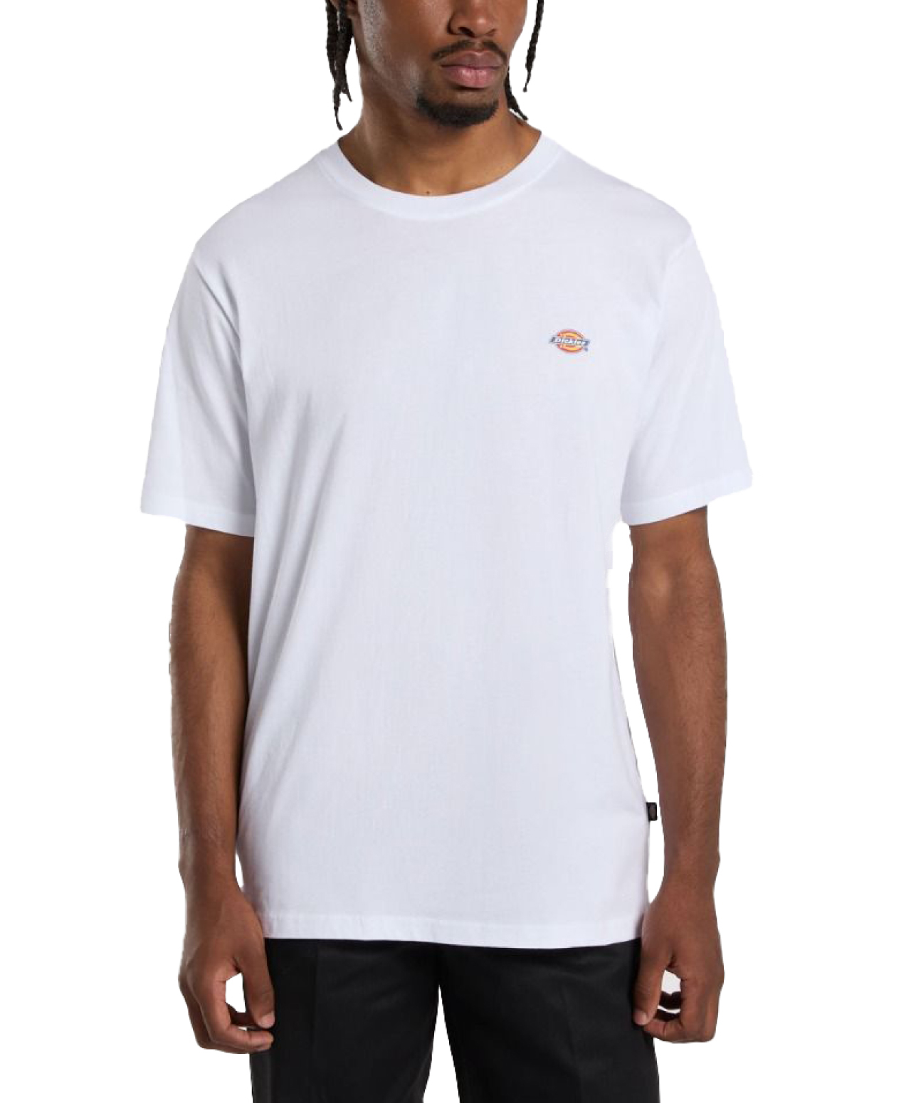 DICKIES MAPLETON TEE WHITE