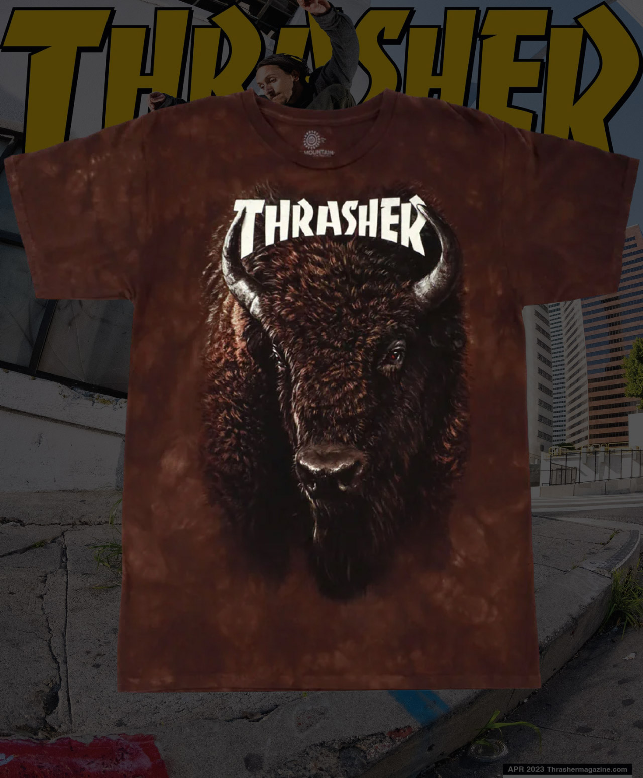 THRASHER BISON TEE BROWN