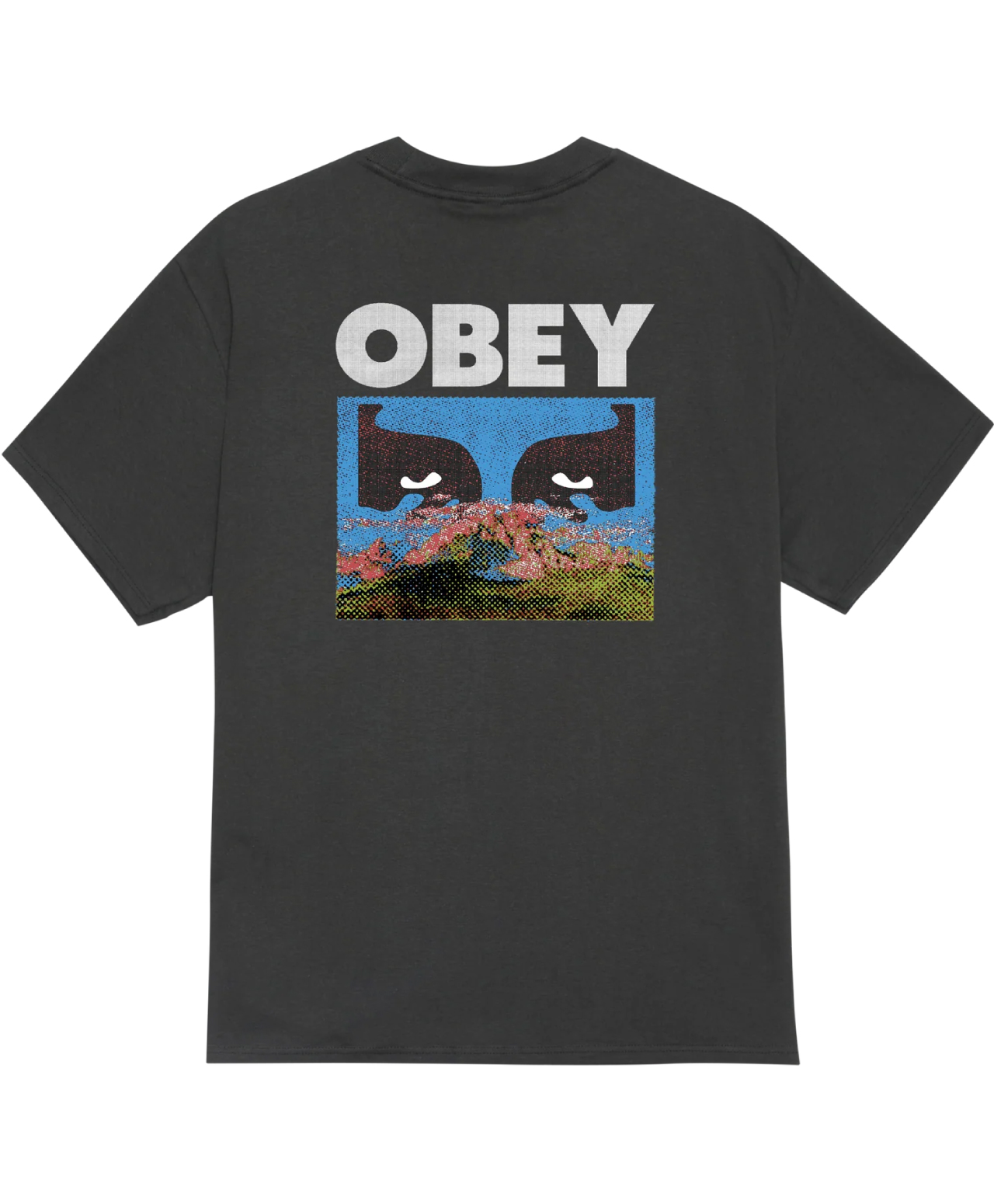 OBEY IN A DIFFERENT PLACE TEE VINTAGE BLACK