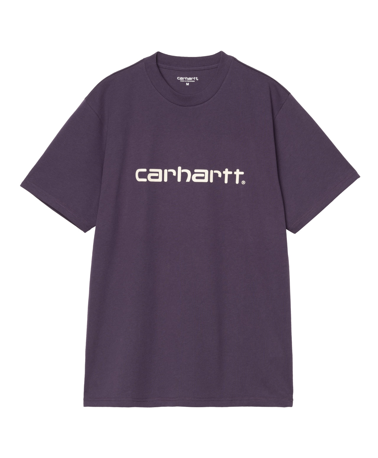 CARHARTT WIP SCRIPT TEE LOKERS/SALT