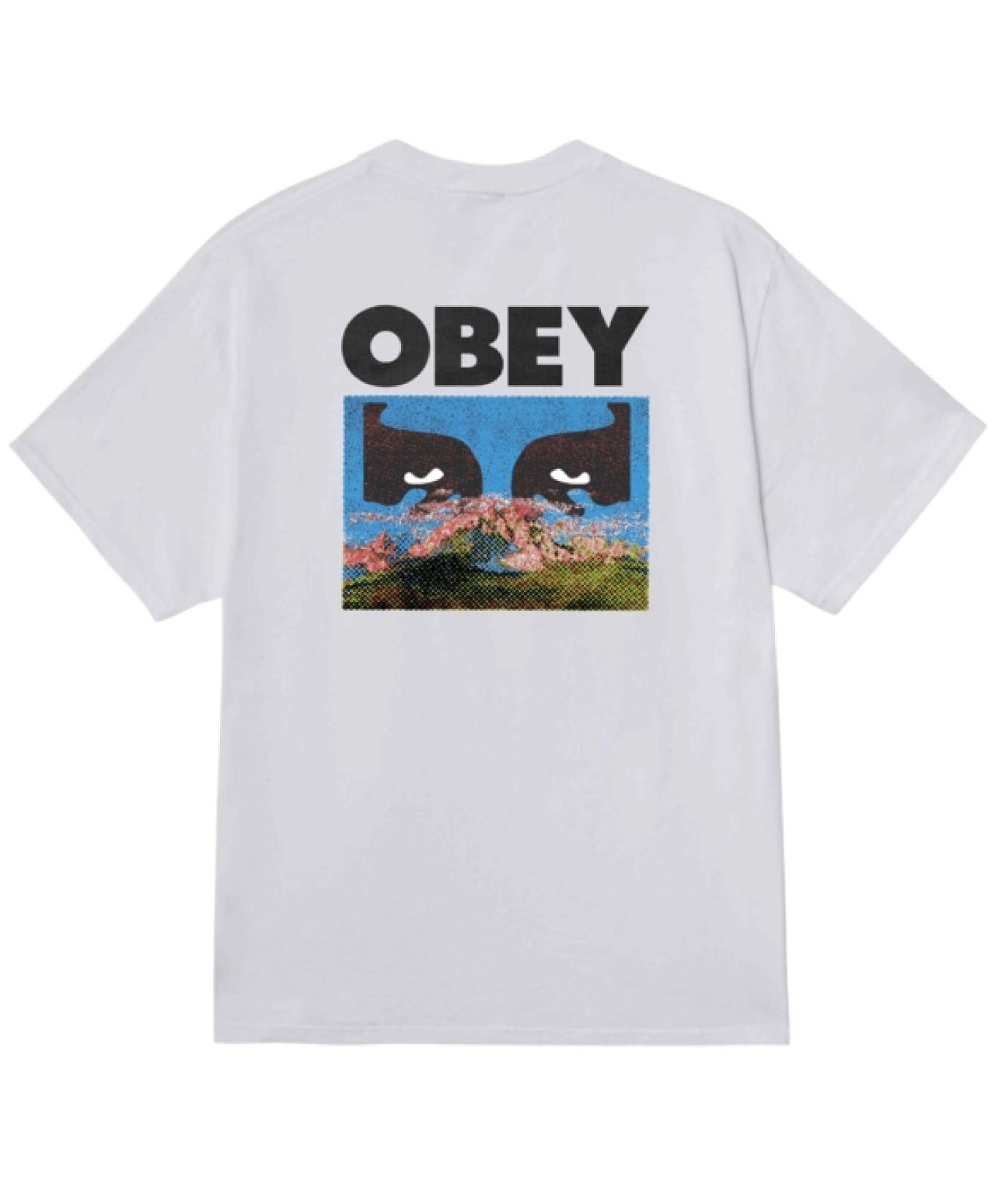 OBEY IN A DIFFERENT PLACE TEE WHITE