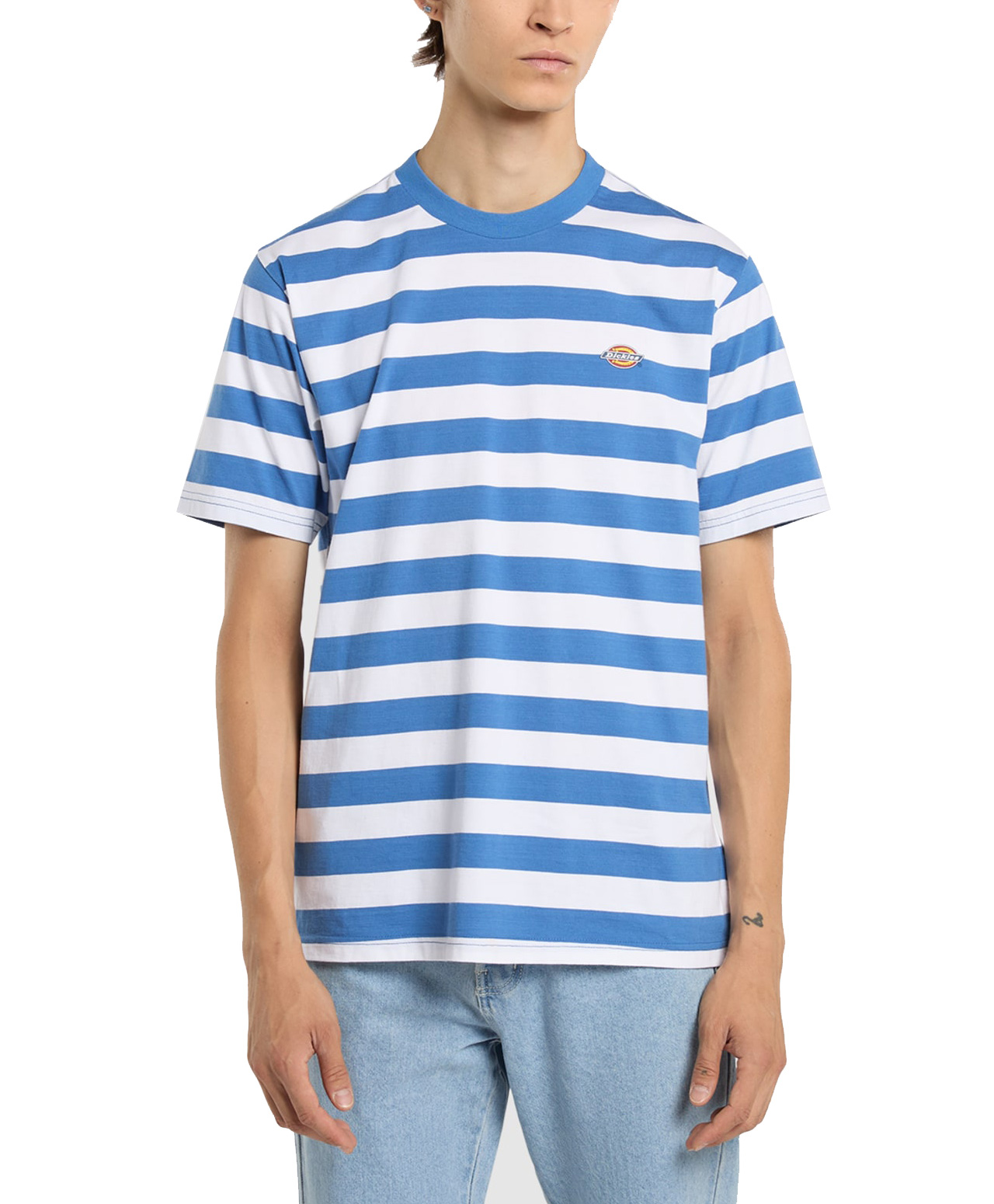 DICKIES RIVERGROVE TEE DELFT