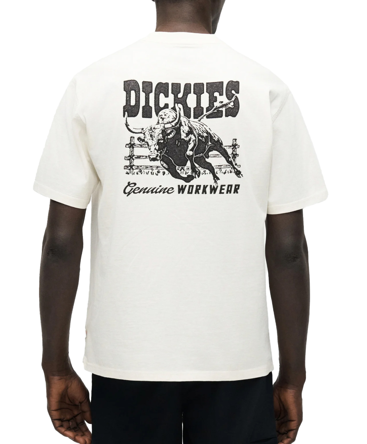 DICKIES BUCHTELL TEE EGRET