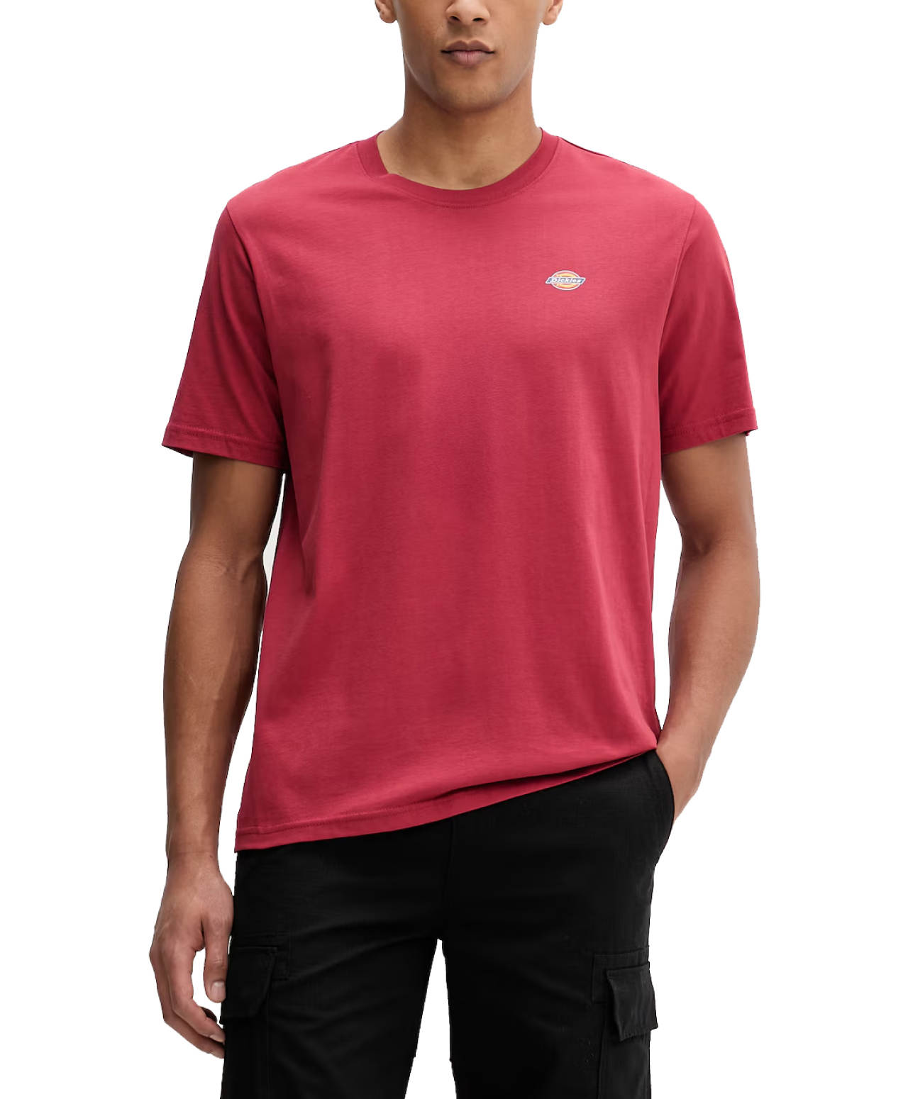 DICKIES MAPLETON TEE GARNET