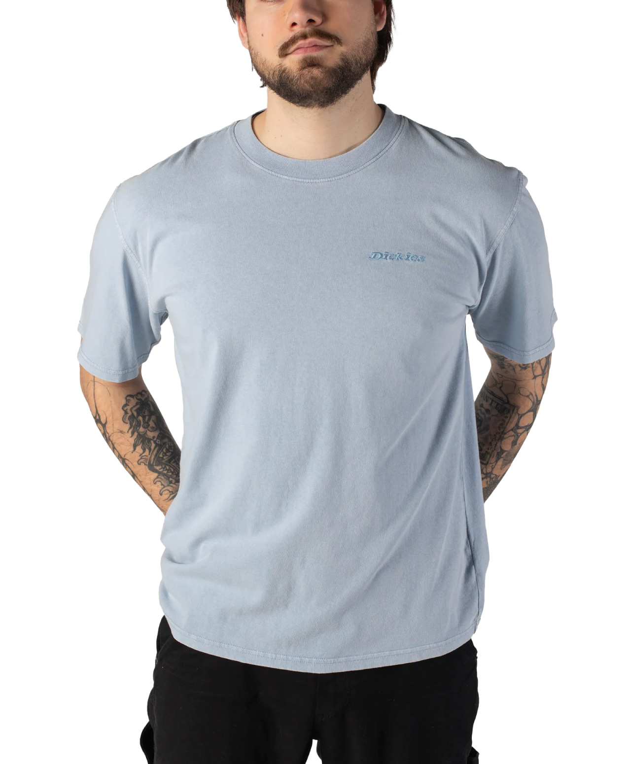 DICKIES PLENTYWOOD TEE ENDLESS SKY