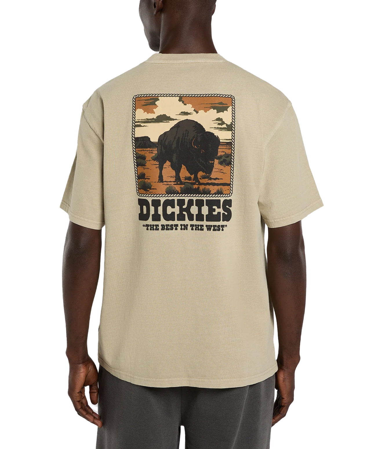 DICKIES DARRTOWN TEE EUCALYPTUS