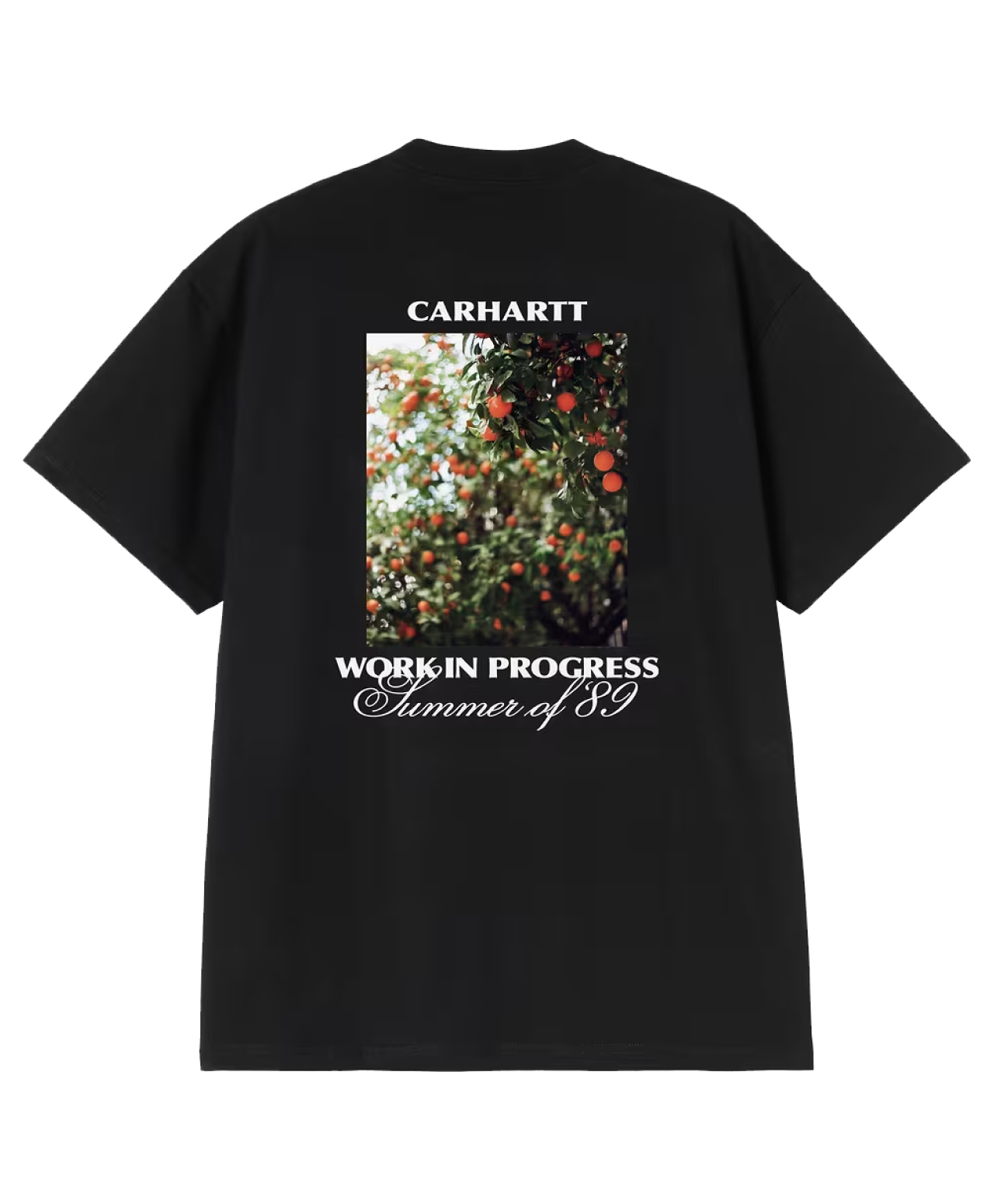 CARHARTT WIP WARM VIEWS TEE BLACK