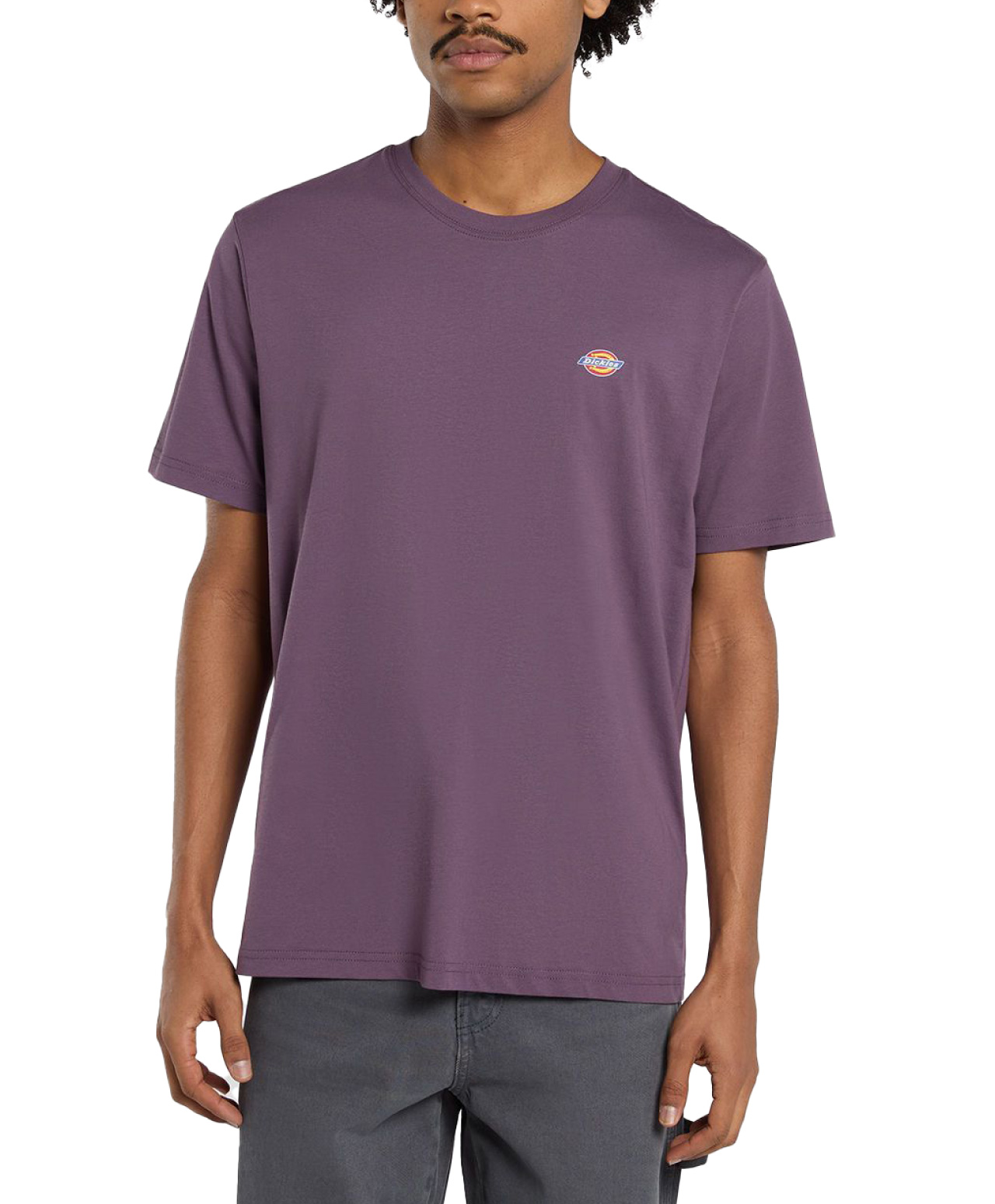 DICKIES MAPLETON TEE VINTAGE VIOLET
