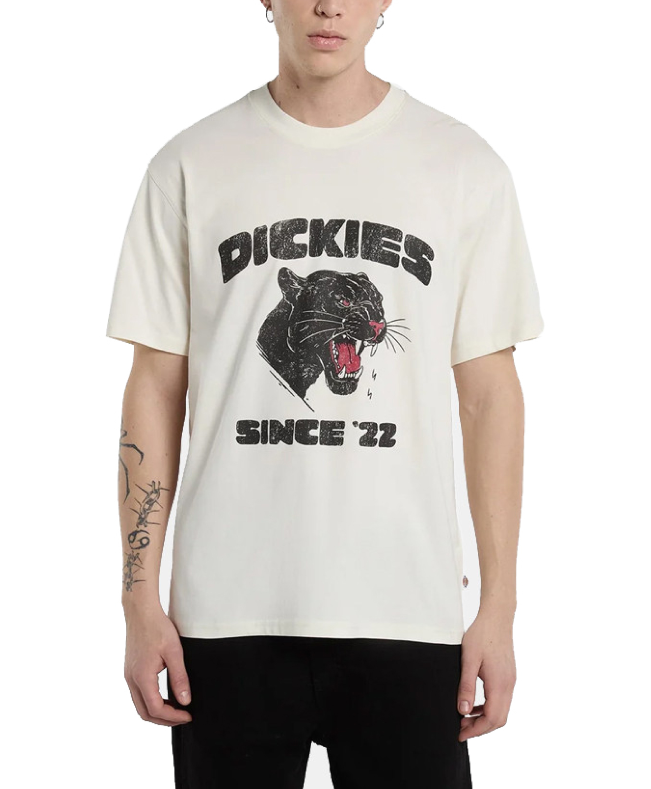 DICKIES MCDERMITT TEE EGRET