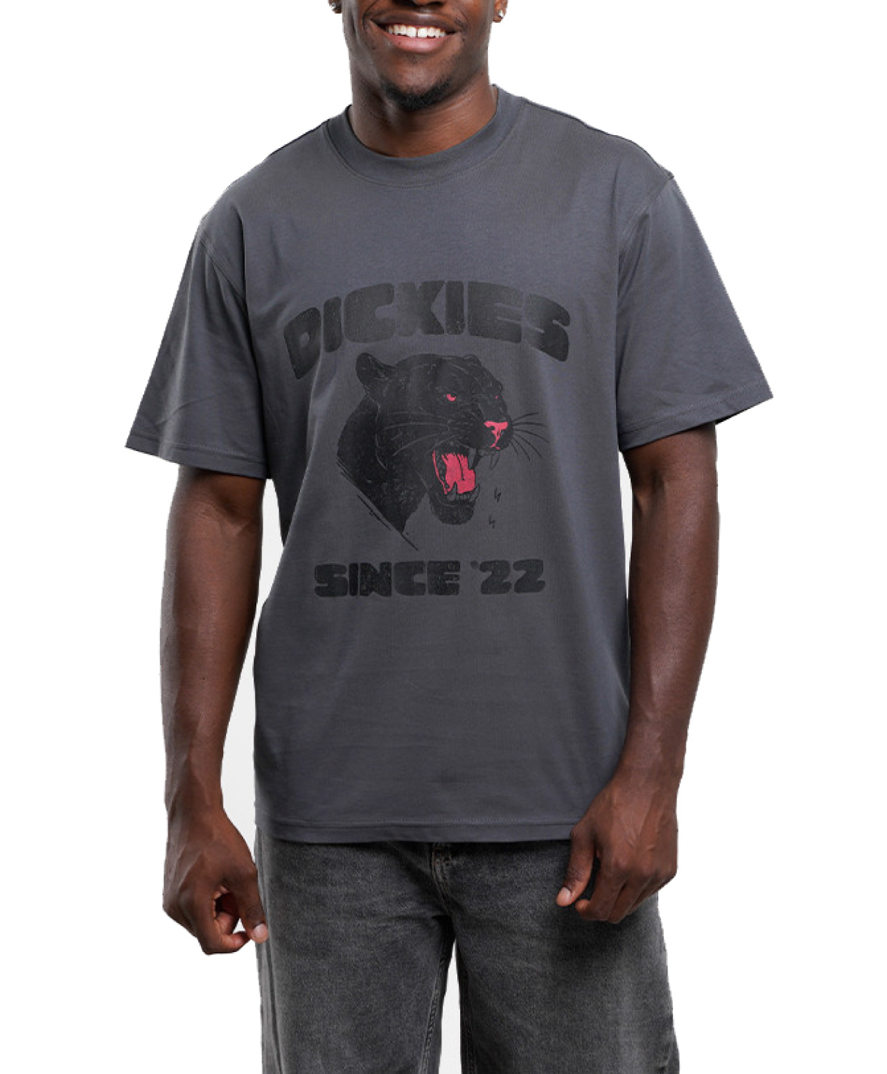 DICKIES MCDERMITT TEE CHARCOAL