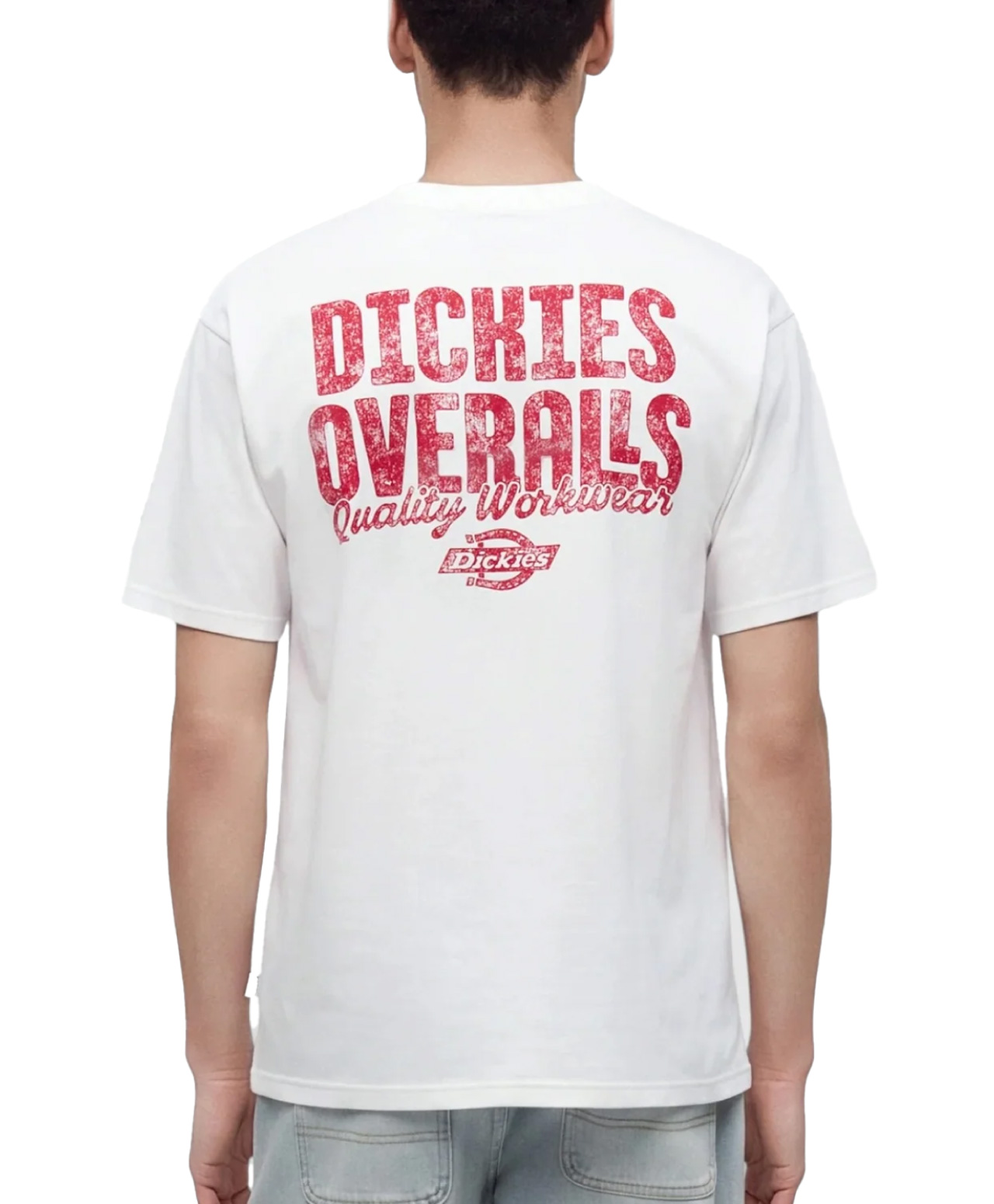DICKIES CHINLE TEE WHITE