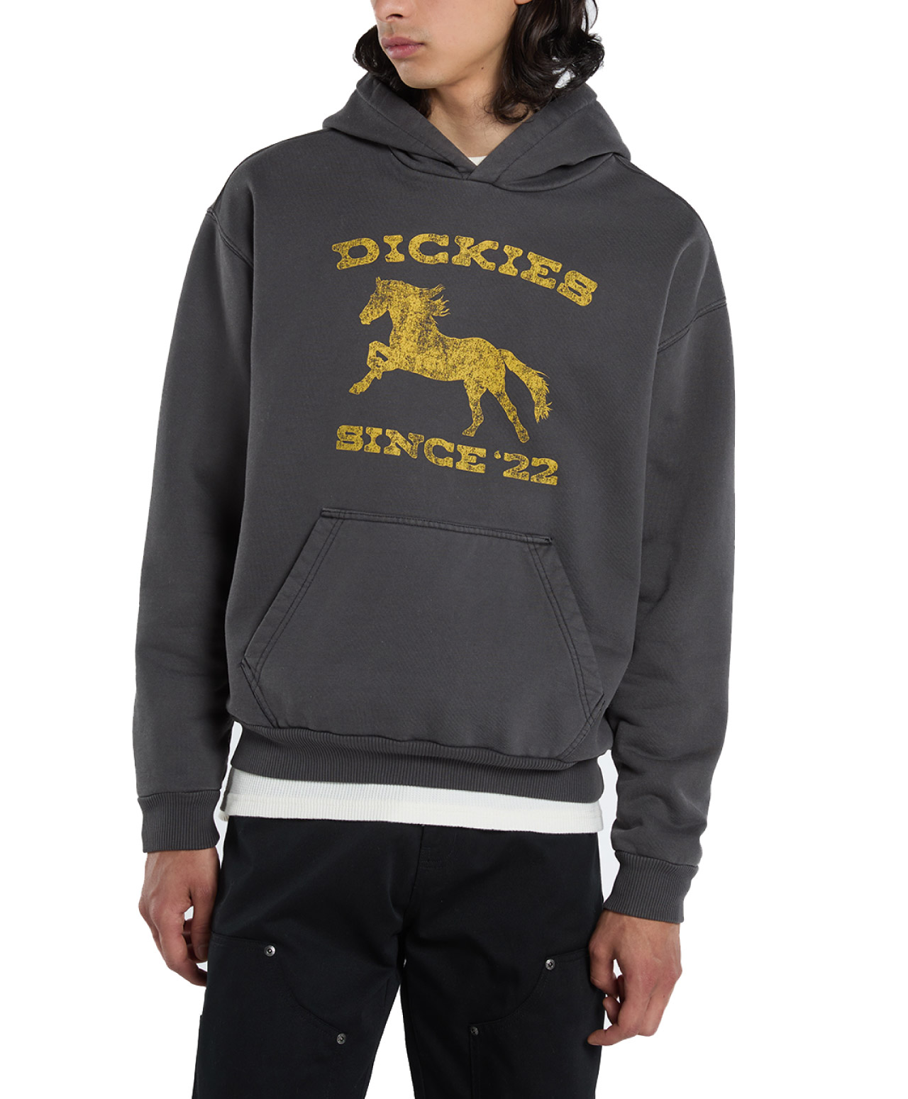 DICKIES OWYHEE HOOD BLACK