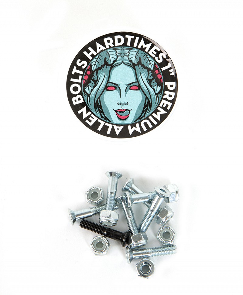 GOODBIE HARDTIMES 1 ALLEN BOLTS SILVER