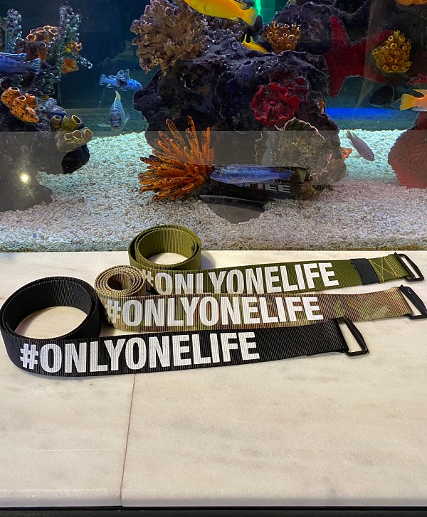 COLOR ONLYONELIFE ARMY BELT OLIVE