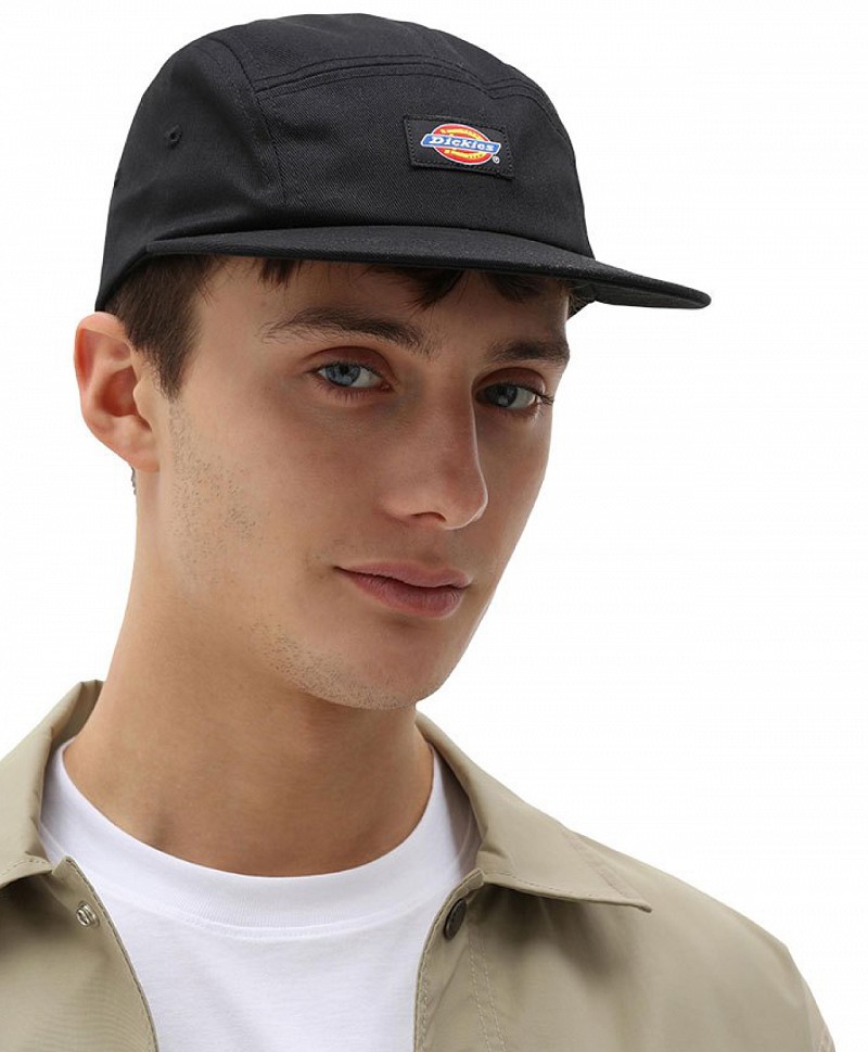 dickies baseball caps