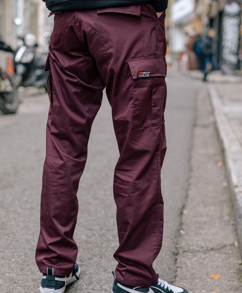 COLOR I-5 CARGO PANTS WINE