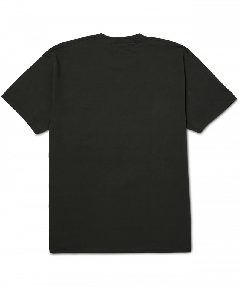 HUF PLANTASIA TEE VINTAGE BLACK
