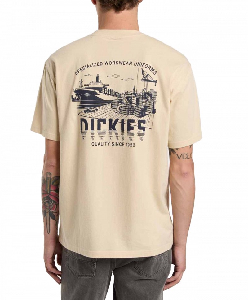 DICKIES PELHAM TEE WOOD ASH