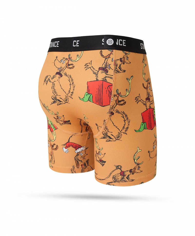 STANCE X GRINCH AND MAX BOXER BRIEF MULTI