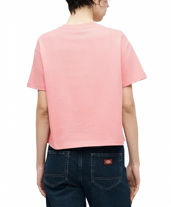 DICKIES WOMEN'S OAKPORT BOXY TEE BRIDAL ROSE