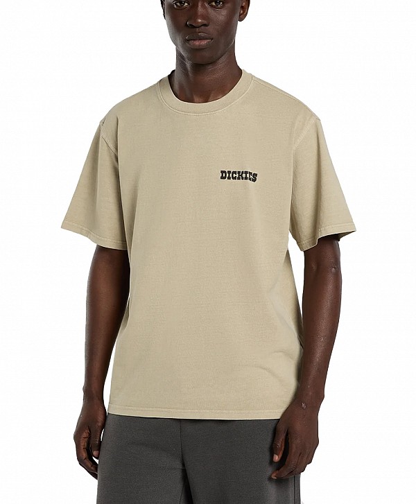 DICKIES DARRTOWN TEE EUCALYPTUS