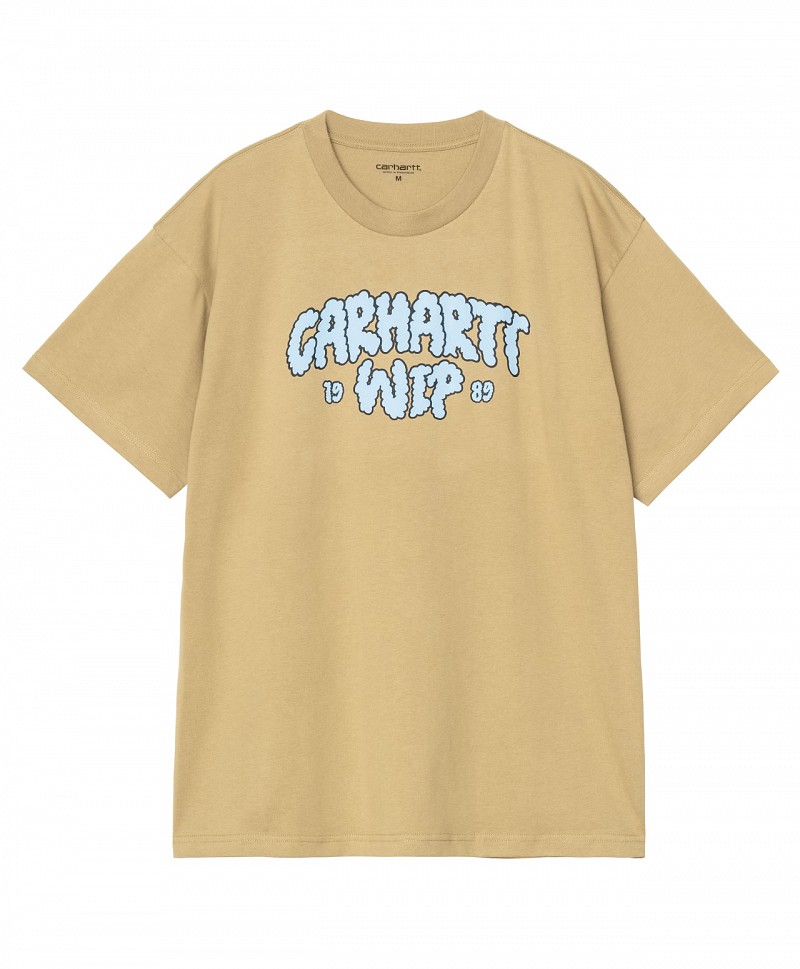 CARHARTT WIP CLOUD SCRIPT TEE SNAKES