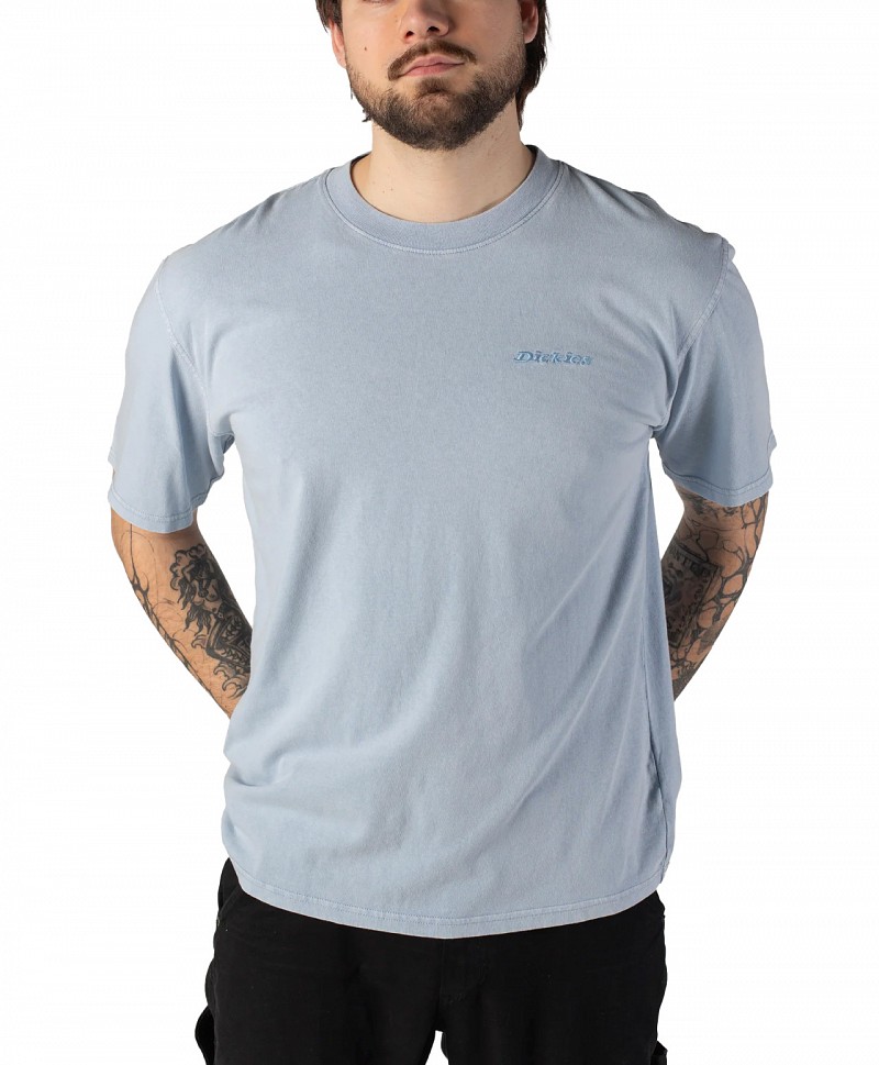 DICKIES PLENTYWOOD TEE ENDLESS SKY