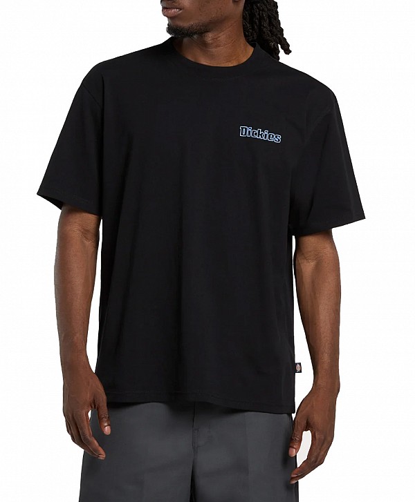 DICKIES FAIRLAWN TEE BLACK