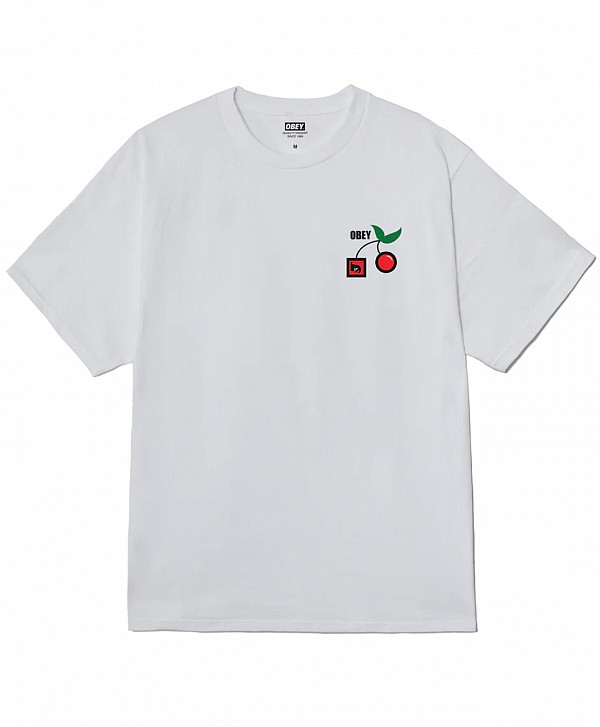 OBEY ALTERNATIVE LIFESTYLES TEE WHITE